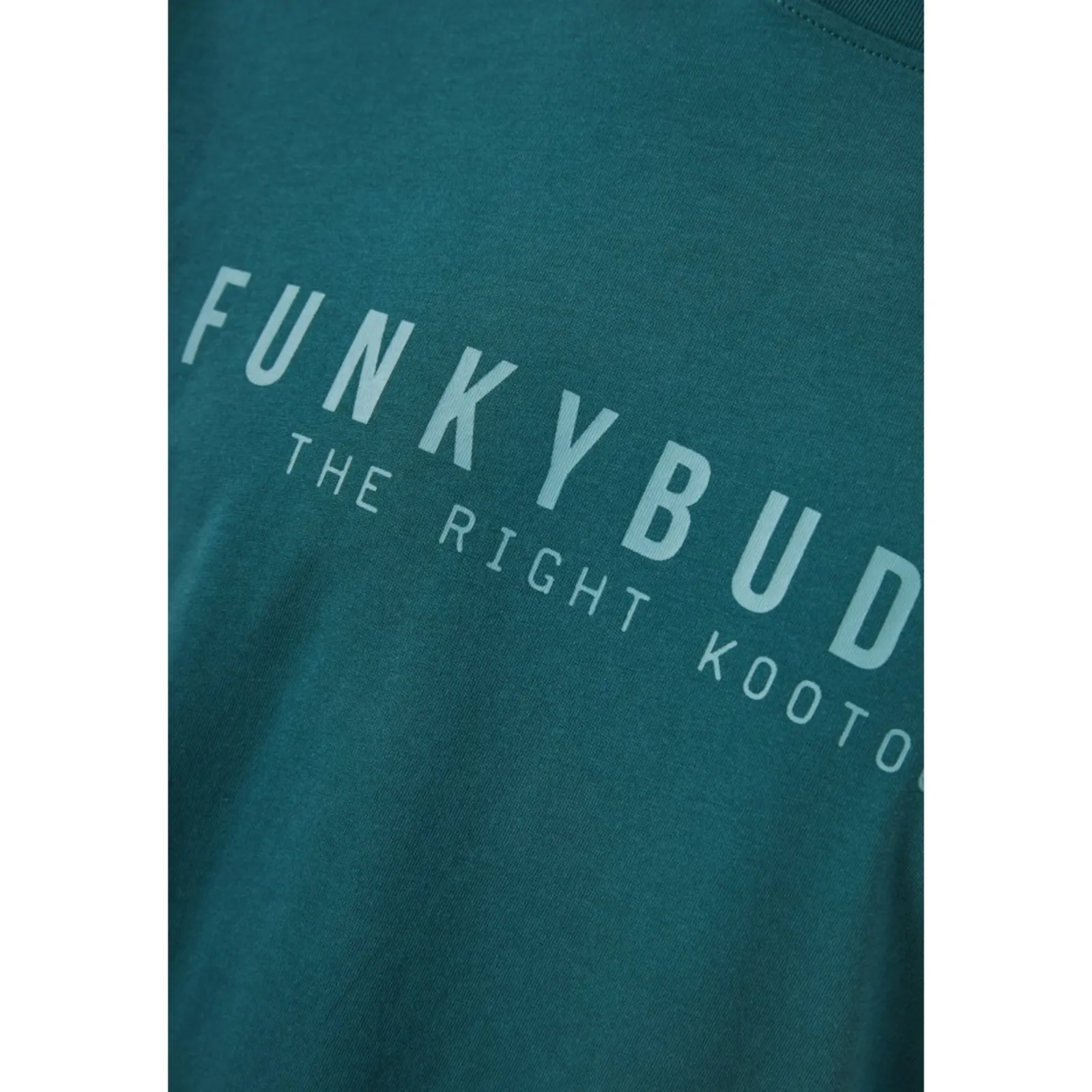 Funky Buddha Ανδρικό T-Shirt FBM013-011-04-MEDITERRANEA - Image 2