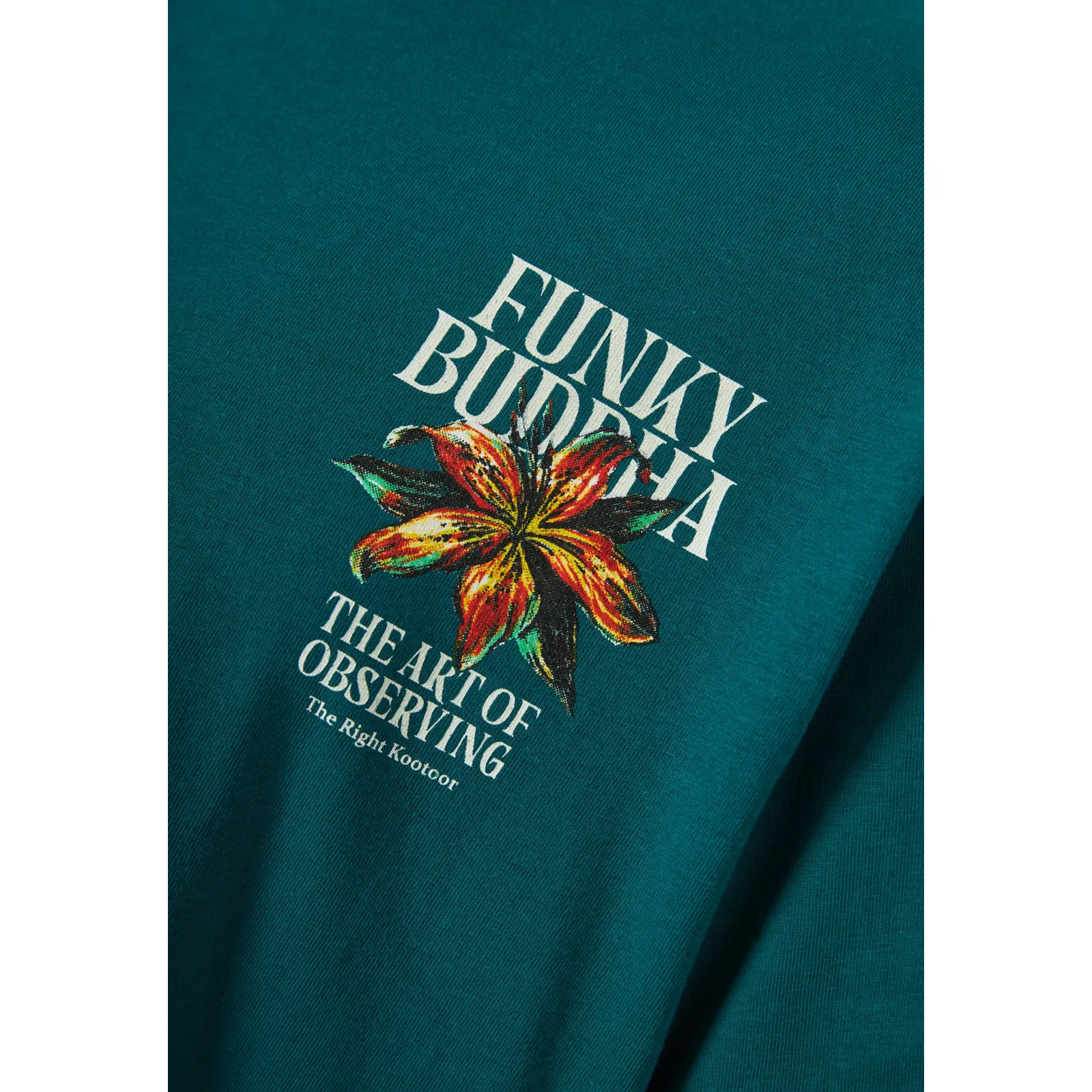 Funky Buddha Ανδρικό βαβακερό T-Shirt με τύπωμα στην πλάτη FBM013-075-04 Deep Lake - Image 9