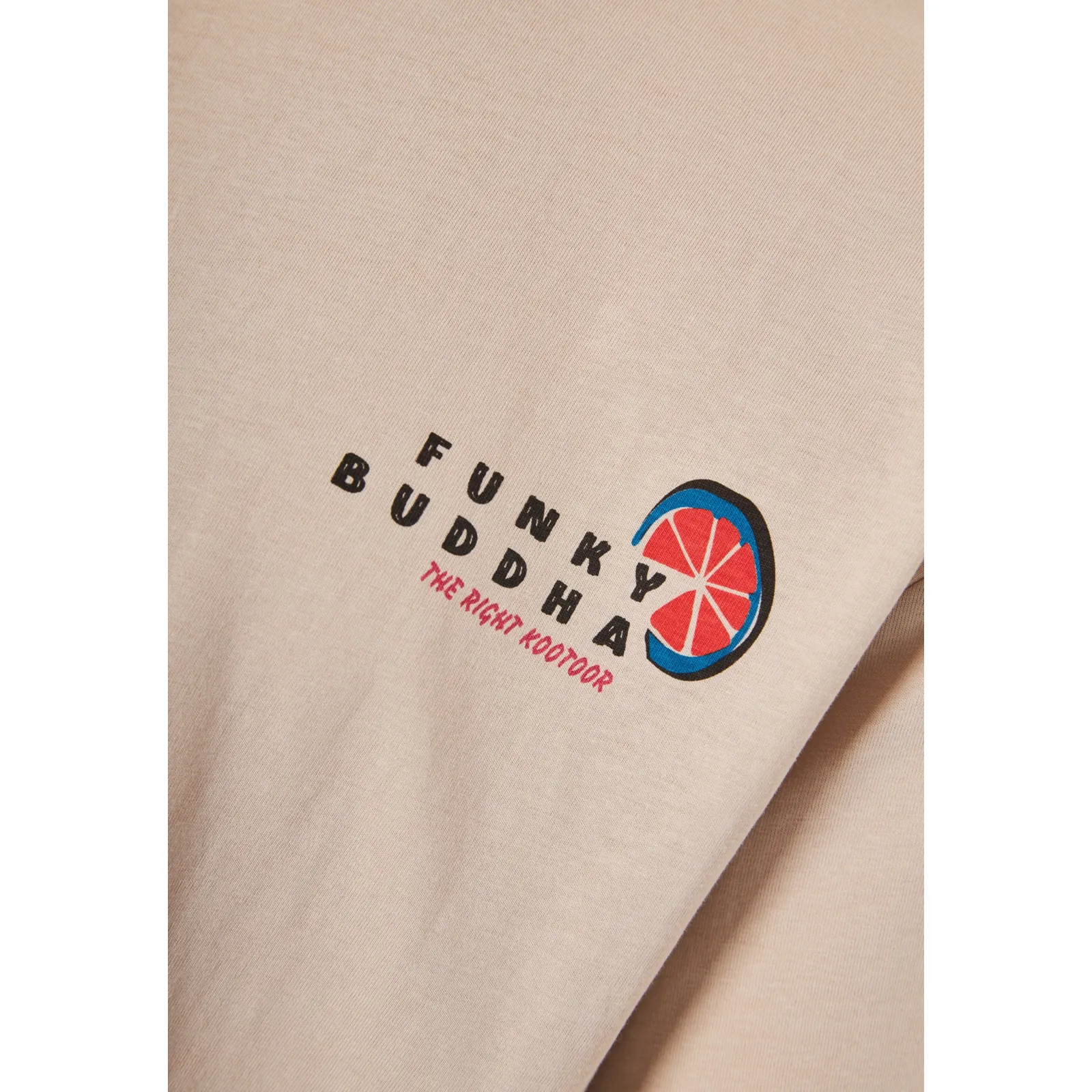 Funky Buddha Ανδρικό relaxed T-Shirt με τύπωμα στην πλάτη FBM013-087-04 Fog - Image 8