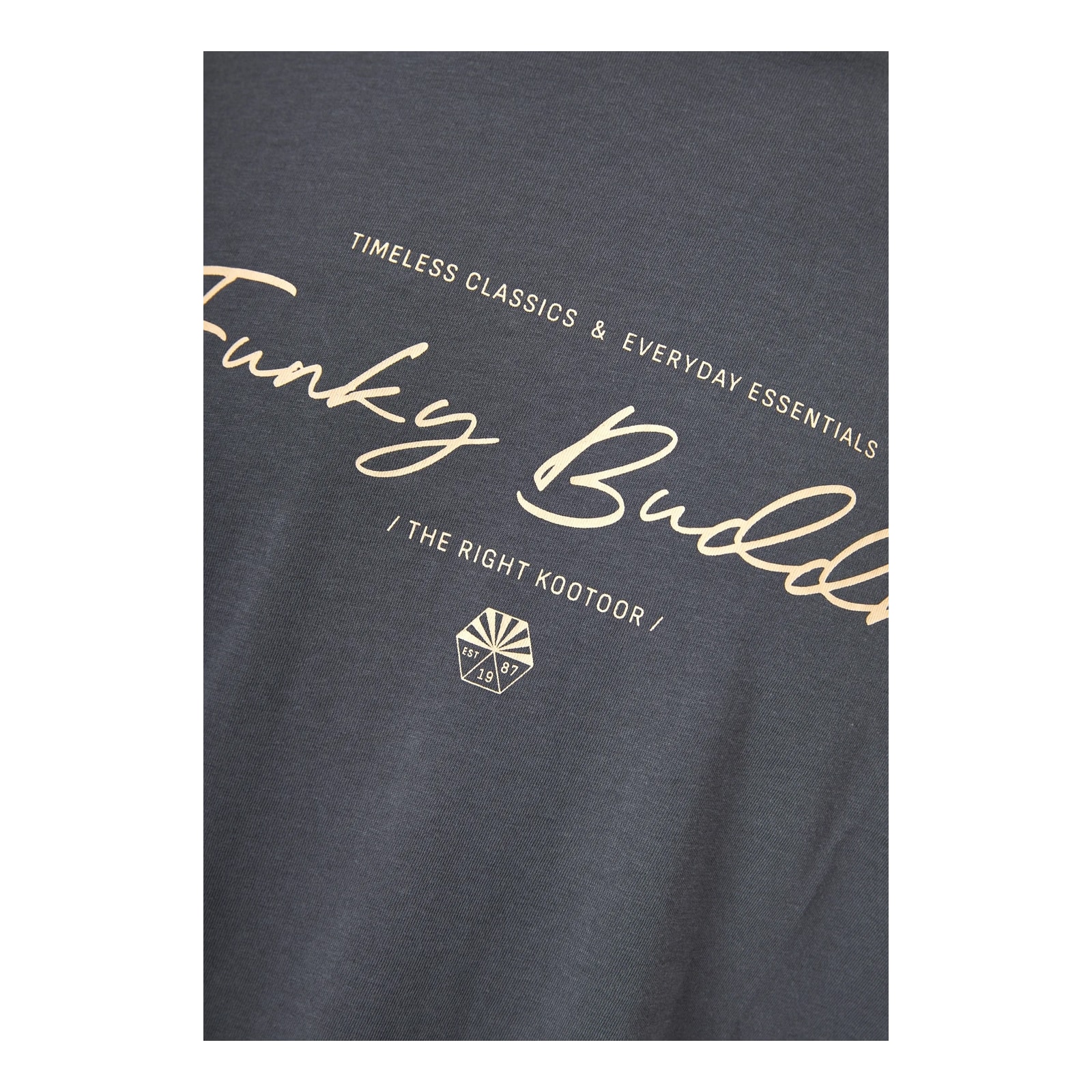 Funky Buddha Ανδρικό T-Shirt Dark Grey FBM013-022-04-DK-GREY - Image 6